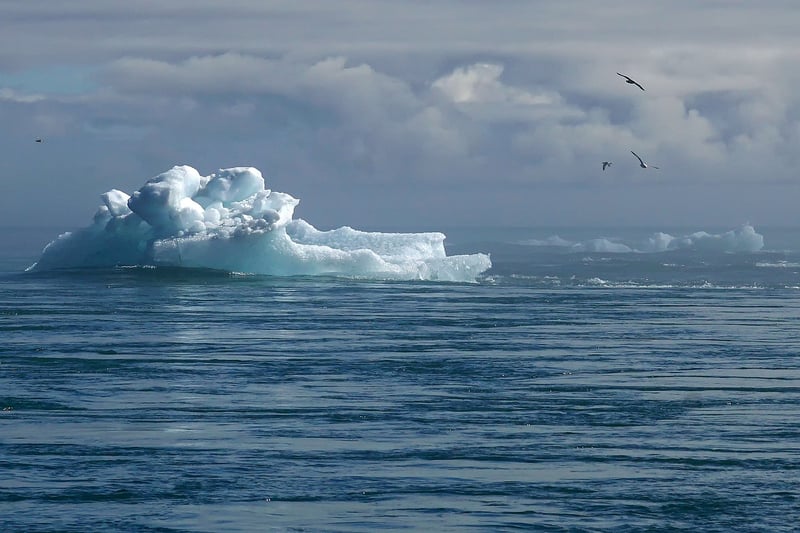 Climate Change Resilience