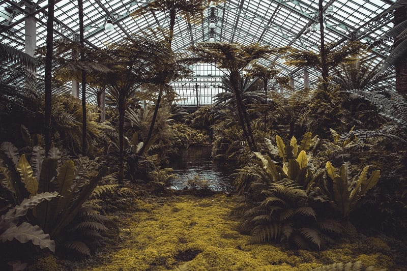 Ecosystem Dynamics