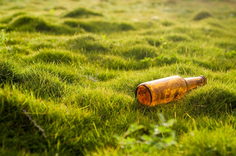 Environmental Factors