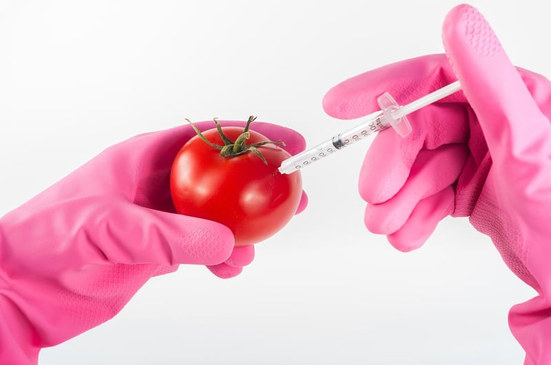 Transgenic Plants