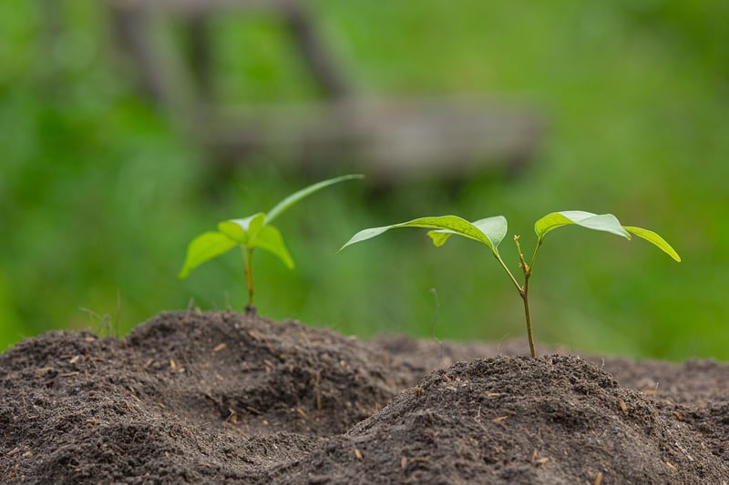 Soil Quality